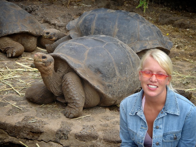 Gal Galapagos Tortoise Baby.JPG (172543 bytes)
